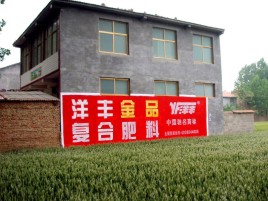 道县如何让墙体广告展现最大化效果